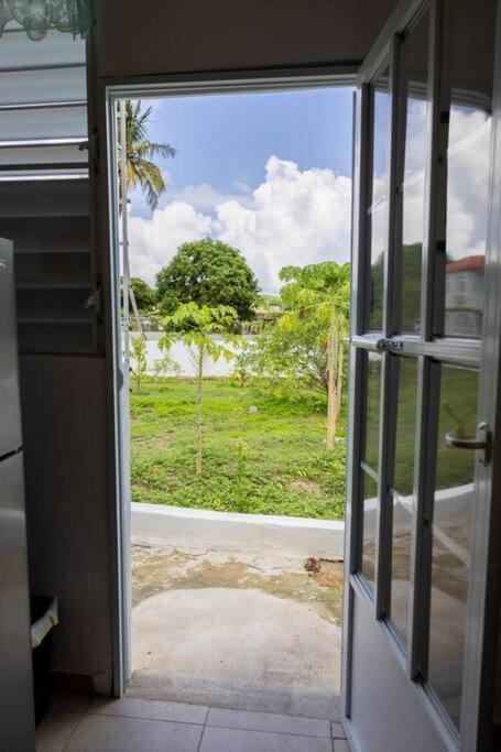 Studio 4 Casiguaya With Garden Access Vieques Eksteriør billede